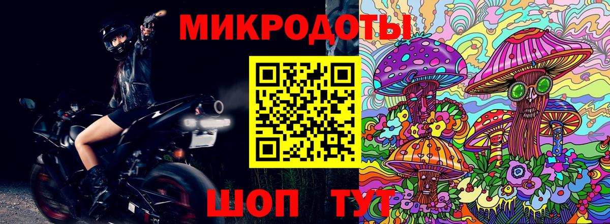Псилоцибиновые грибы GOLDEN TEACHER Сатка