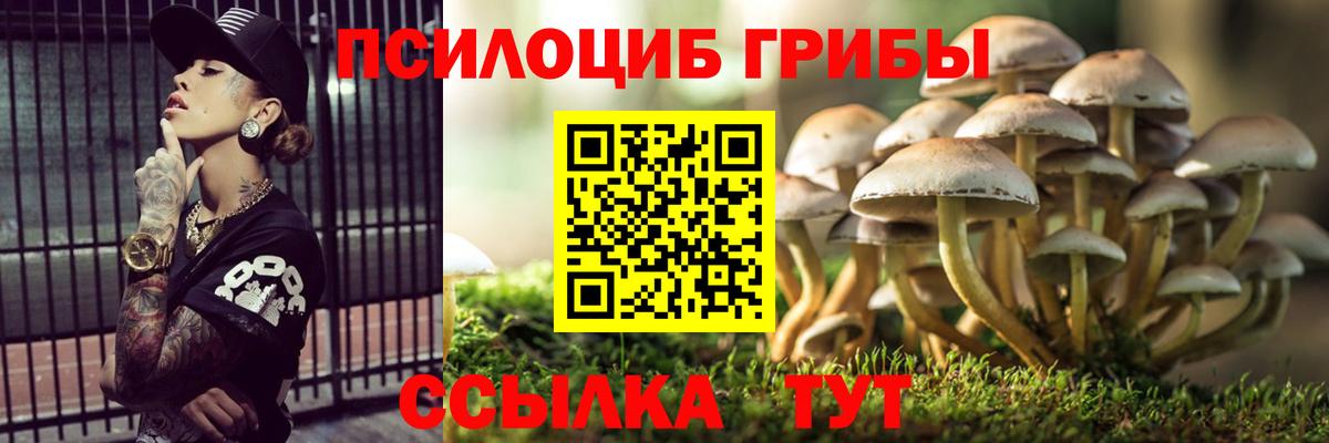 где купить наркоту  Вход с VPN  Сатка  Псилоцибиновые грибы Psilocybine cubensis 